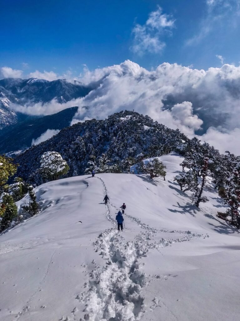 Manali 3 Nights 4 Days Tour