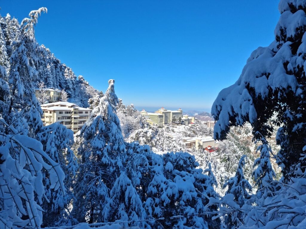 Shimla as Honeymoon Destination